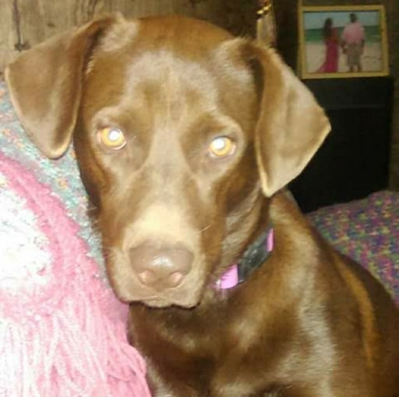 I love my fur babies! Animals Rule!! - Picture 6 of 8